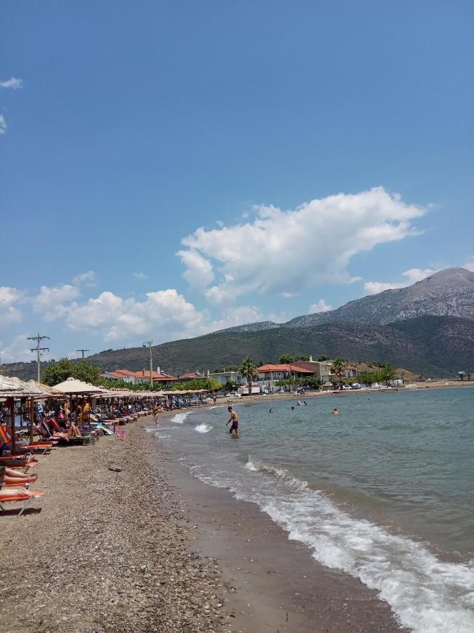 Πέτρινο Στη Θάλασσα Apartment Nafpaktos Bagian luar foto