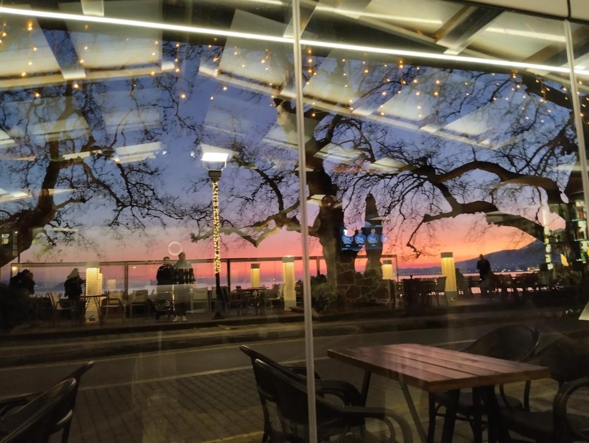 Πέτρινο Στη Θάλασσα Apartment Nafpaktos Bagian luar foto